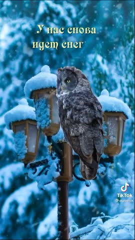 received_621687905842724