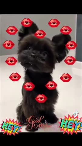 received_615354286489558