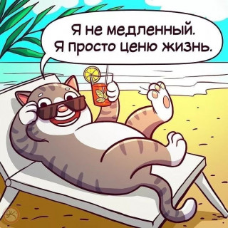 alf_1909-___CVz8WcEMVq-___-3