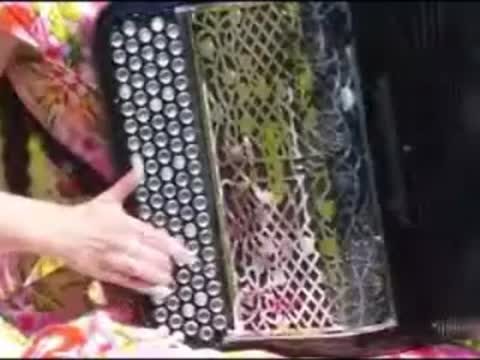 -На-гармошке-