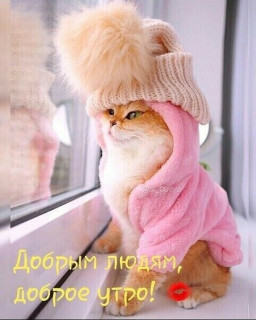 vkzI8JsPNJ8