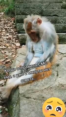 Обиделась