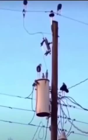 VID_20211127_144615_986