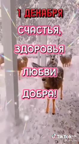 Первый_день_зимы20211201