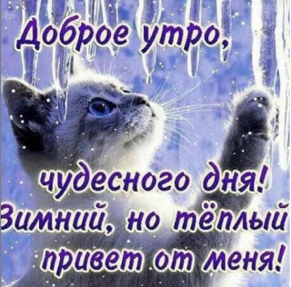 Zsk8NRncxpw