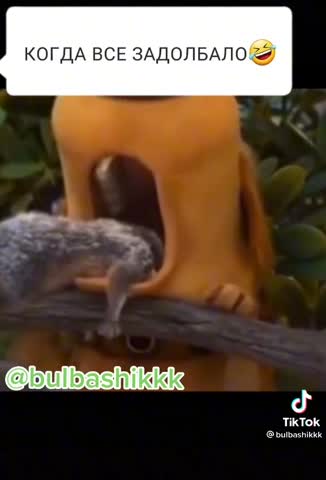 4590c8e915722dbf884acb990fb77503