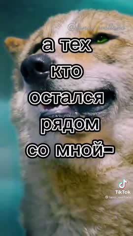 aefe1f16db05a9f16b9d78737171c8a5
