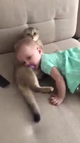 -Расчешемся-