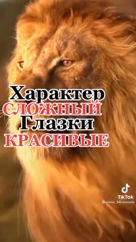 4c42662bcda67d6cce29cc17eda513e6