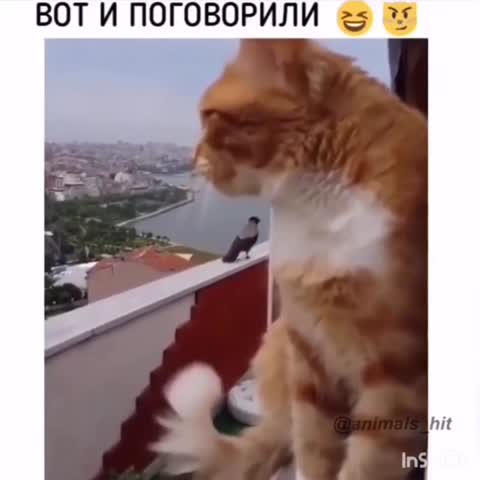 1577484002284233302_720x720