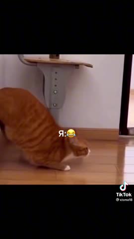 8cb2a08088e2bbc135e182402b8bdced