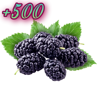 Foiz__AddText_12-01-11_36_52