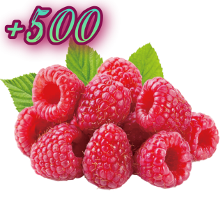 Foiz__AddText_12-01-11_35_28