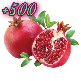 Foiz__AddText_12-01-11_35_03