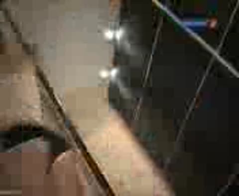 Vsjo_vkljucheno_chempionat_po_pol_dxnmpg-