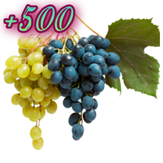 Foiz__Foiz__AddText_12-01-11_22_54