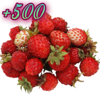 Foiz__Foiz__AddText_12-01-11_20_29