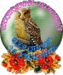 Foiz__Foiz__4uln1ftjhAQd