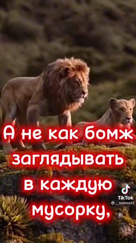 d6a5cd1b09c5c6fb505616f24bcfa771