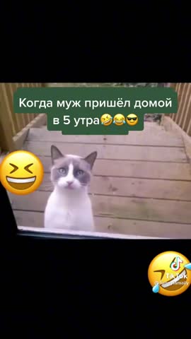 eee7af93d66acefdba8b90f3c1d5ce33