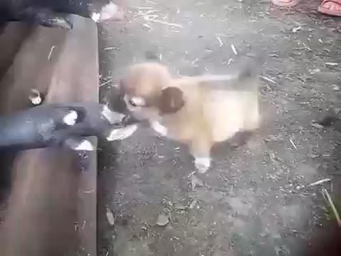 Зло_а_чистом_виде__ах_