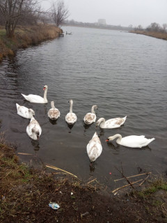 IMG-0df94e72e820b556900df42cc90a1fda-V