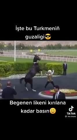 VID_20211215_134648