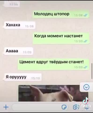 Свиноворот_свиней