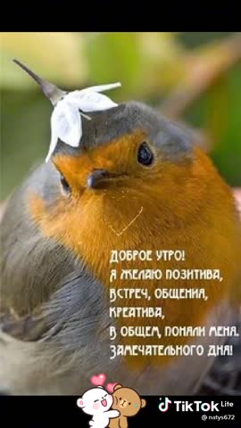 f1315fcd368081e316685d7cf737c16b