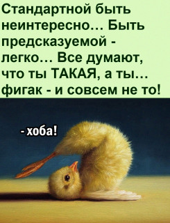 mrX_Y6SH9Vk