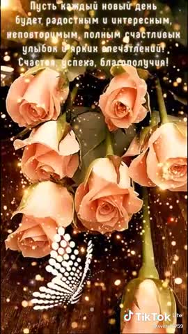 video-ed139ecbc69ad5c1a132117831e9069b-V