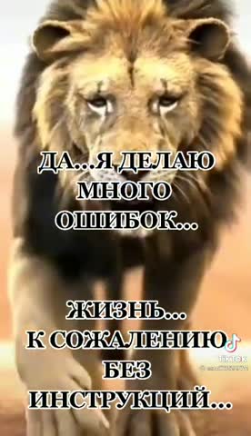 a5eed752f4e0d69f28f86f3be2032b7f