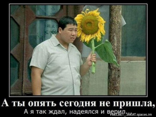 291162948_p_600_600_0-_im