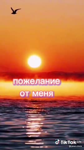 video-34e2eb409c3eb7e759eb3440fdced4ca-V