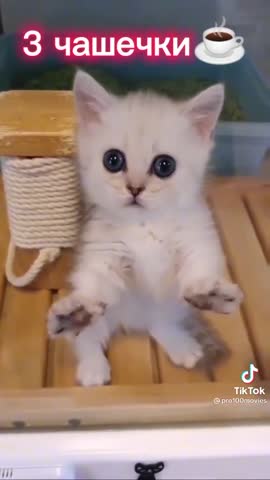 fd8a282786d81dabfcf147d677f8c27b