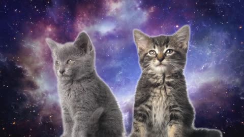 Space_Cats__Magic_Fly