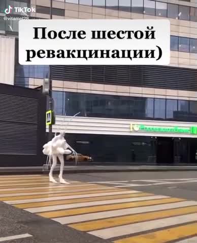 VID-20211217-WA0008