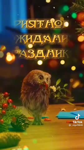 acc891b686d66e19076ac007da76d910