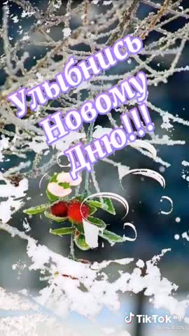 a7f59fcedb1f60e495f47bccd485a3e6