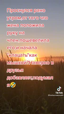 a4161df9b1e1fe04163667cf2bbb1e91