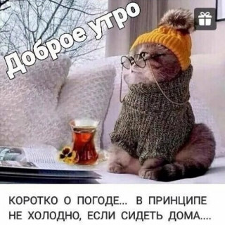 Доброе утро