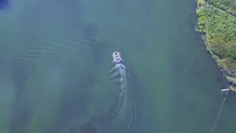 Nurminskii_-_valim_oficialnyi_klip-_im