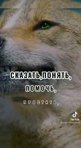 9c9b626ff47bcb8df19ec8d9c03bdb3c