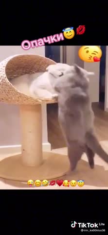 1e1dc8e616aed30625b5e2b59a91c28c