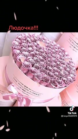 3374ed12e459488b15366767907f983d