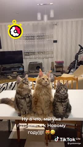 f6cfb3cd284c03c0bb1402cf57bd1cd7