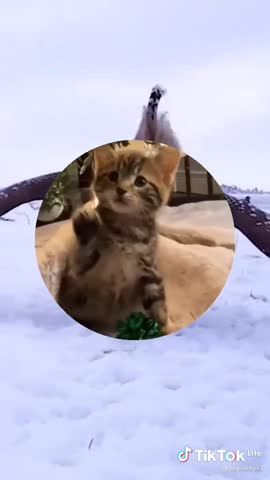 0ff8dece7e72a58db657c719abd98faa