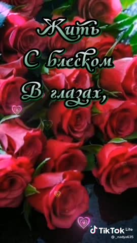 d4378588ba40f77966118438394f52c7