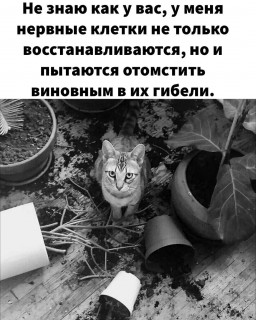 frau_olga44444-___CX_GmbDsNLx___-