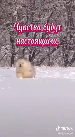 Прекрасной_пятницы_С_добрым_утром